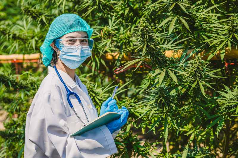 Diversité des gammes et expériences utilisateur OrdMed Santé Diversité des gammes et expériences utilisateur OrdMed Santé
