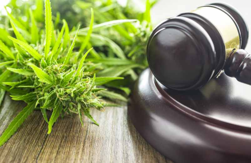L’impact de la légalité du cbd et de la réglementation du cbd OrdMed Santé L’impact de la légalité du cbd et de la réglementation du cbd OrdMed Santé