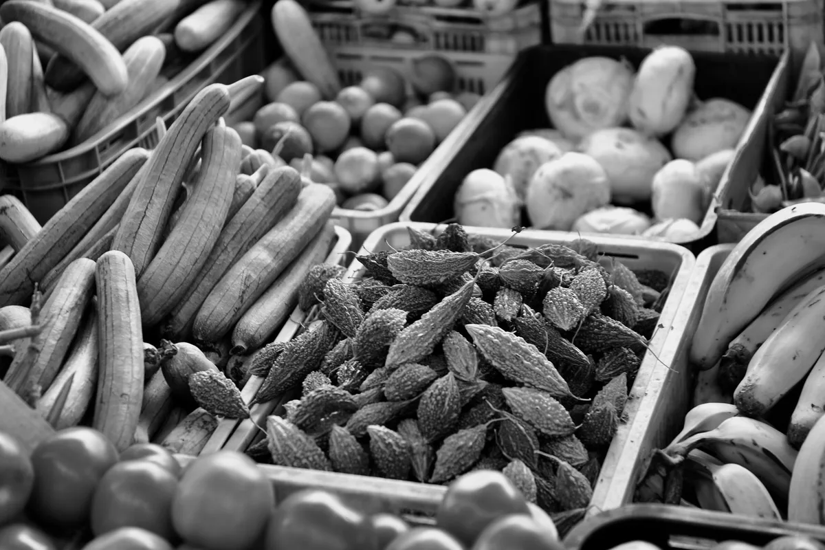 Sélection de tomates mûres et de melons au marché pour bien choisir