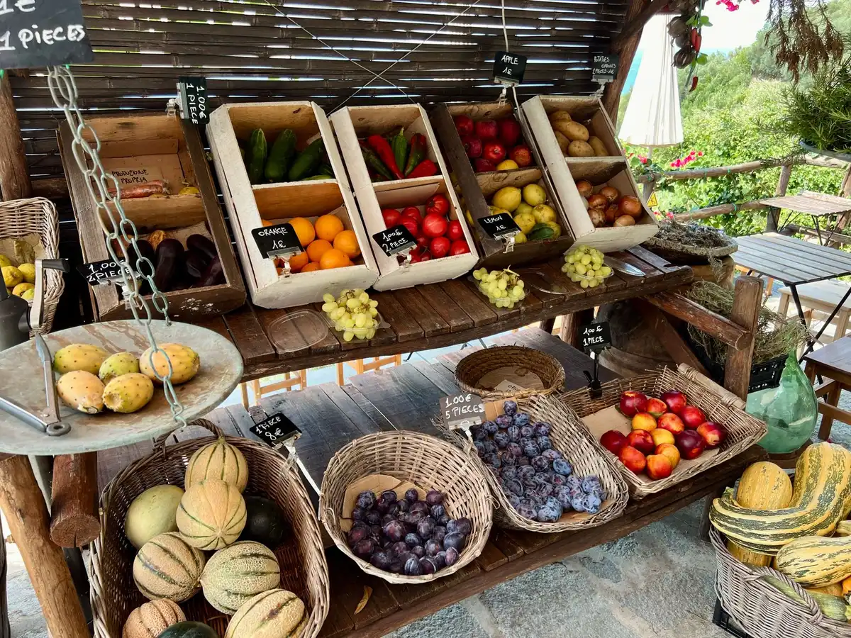 Fruits et légumes frais de saison exposés à un marché de producteurs