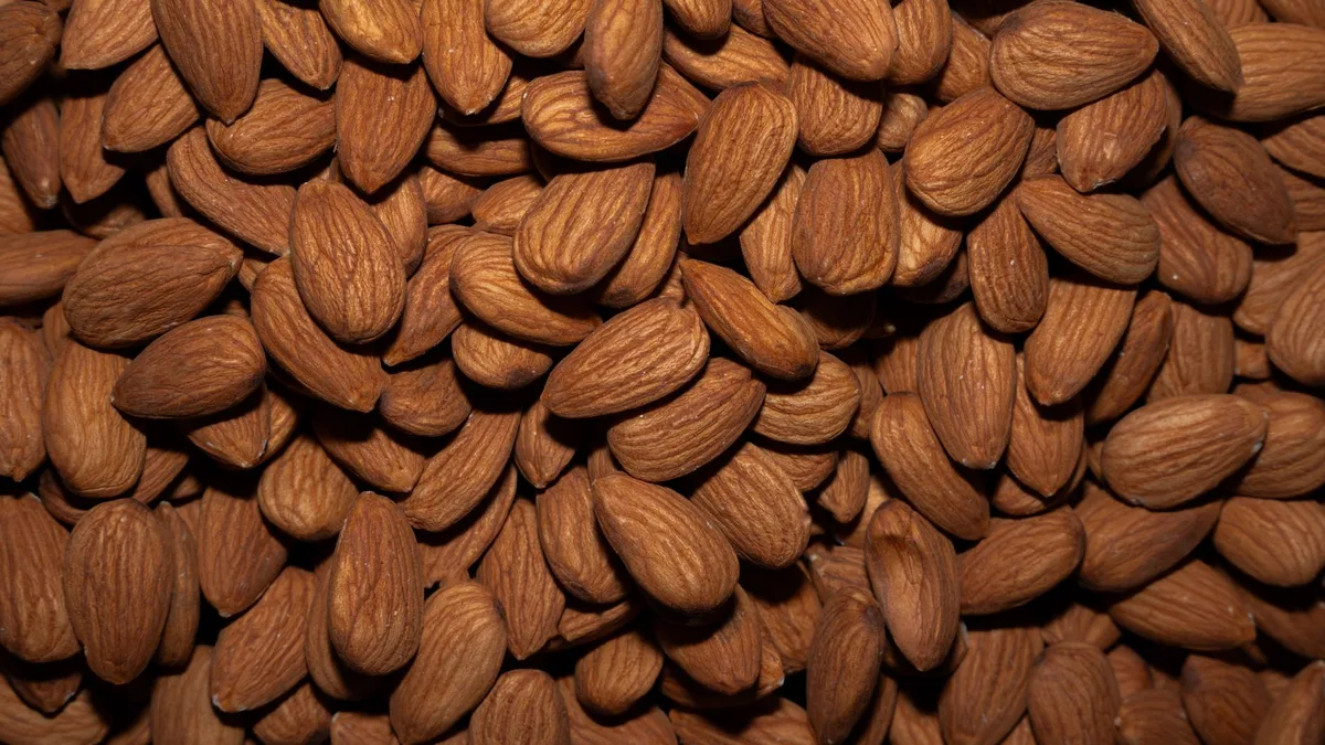 Aliments riches en magnésium : amandes, noix, graines et légumes verts