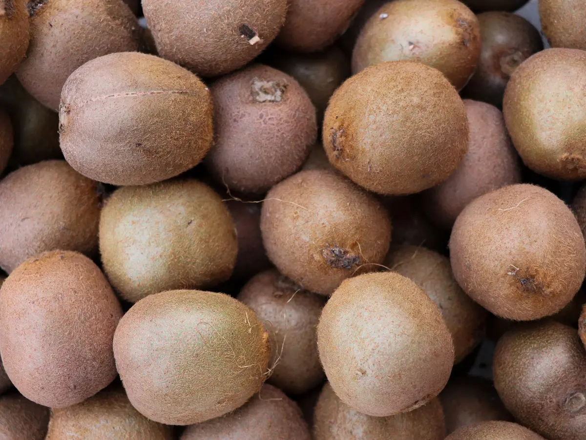 Kiwis frais coupés en deux montrant leur chair verte et leurs graines noires riches en nutriments
