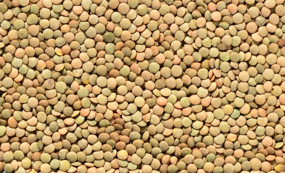 Variété de légumineuses : lentilles, pois chiches et haricots secs dans des bols