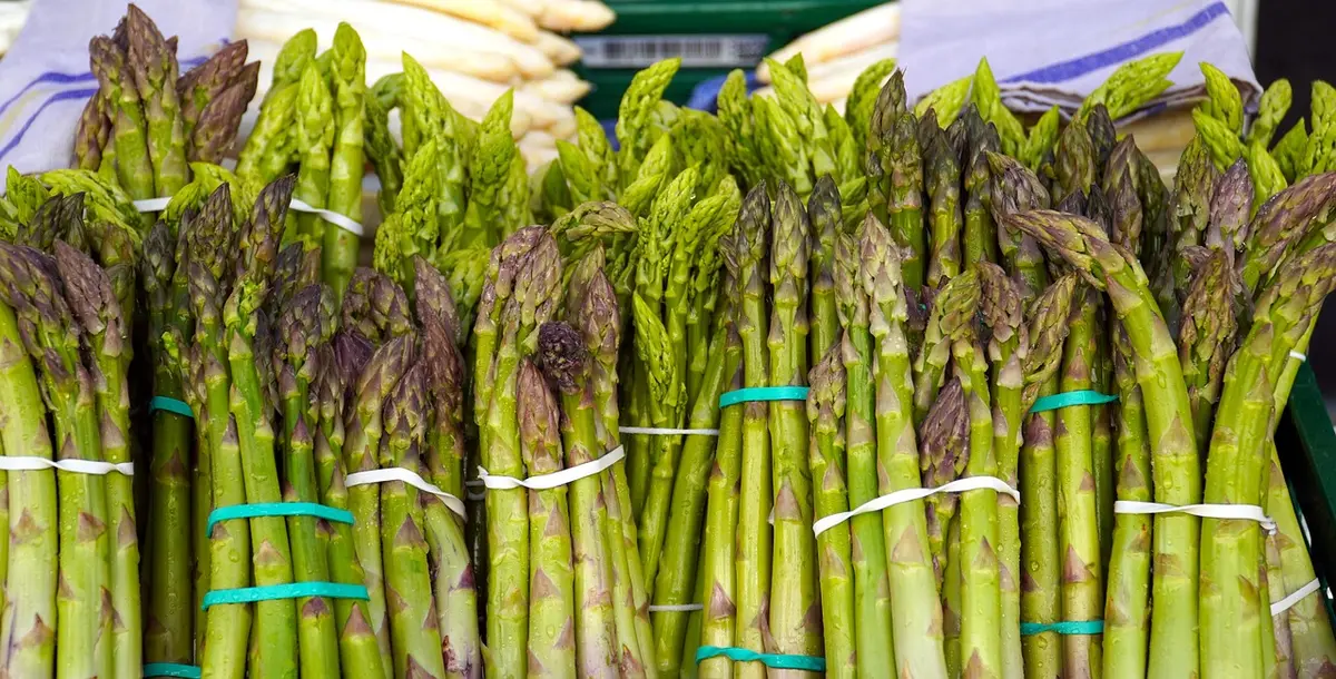 Assortiment d'herbes fraîches et graines pour assaisonner des asperges