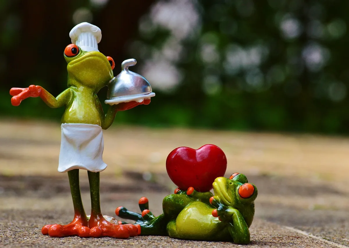 Aliments riches en protéines disposés sur un plan de travail pour un programme hyperprotéiné structuré