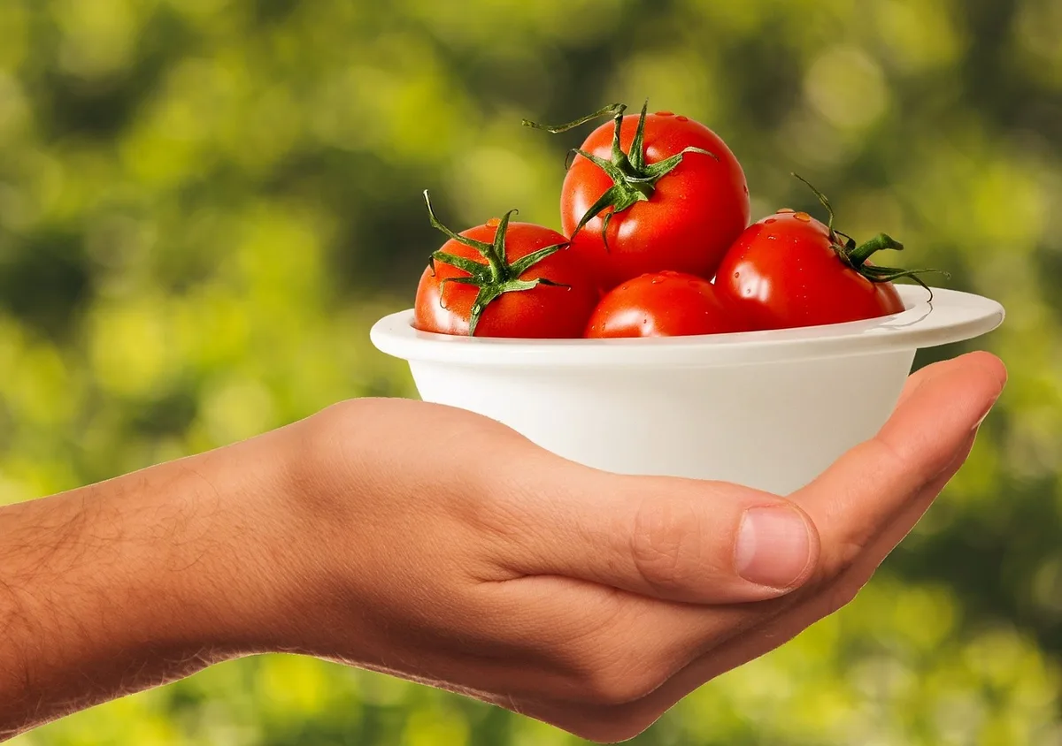 Assiette de petites portions variées pour plusieurs prises quotidiennes