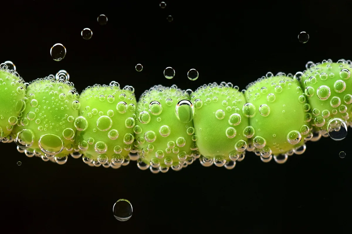 Petits pois et cosses cuisant dans l'eau bouillante