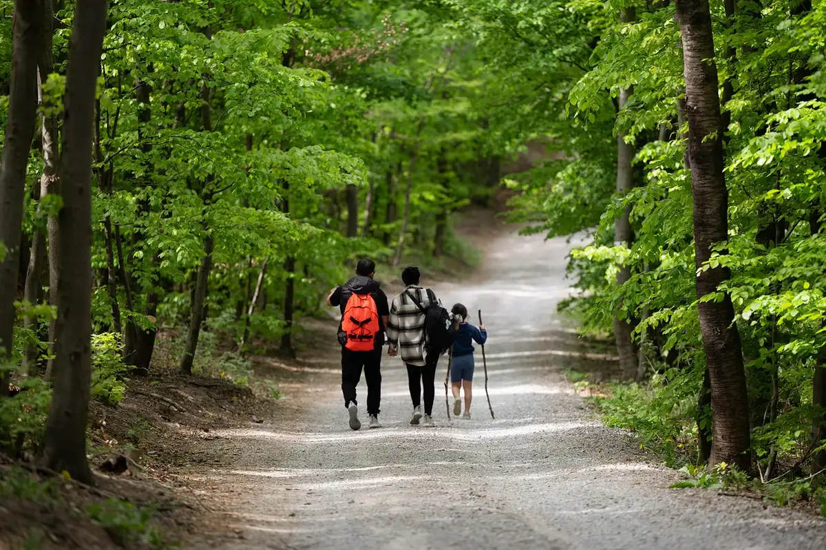 Enfants explorant la nature lors d'une courte balade en plein air
