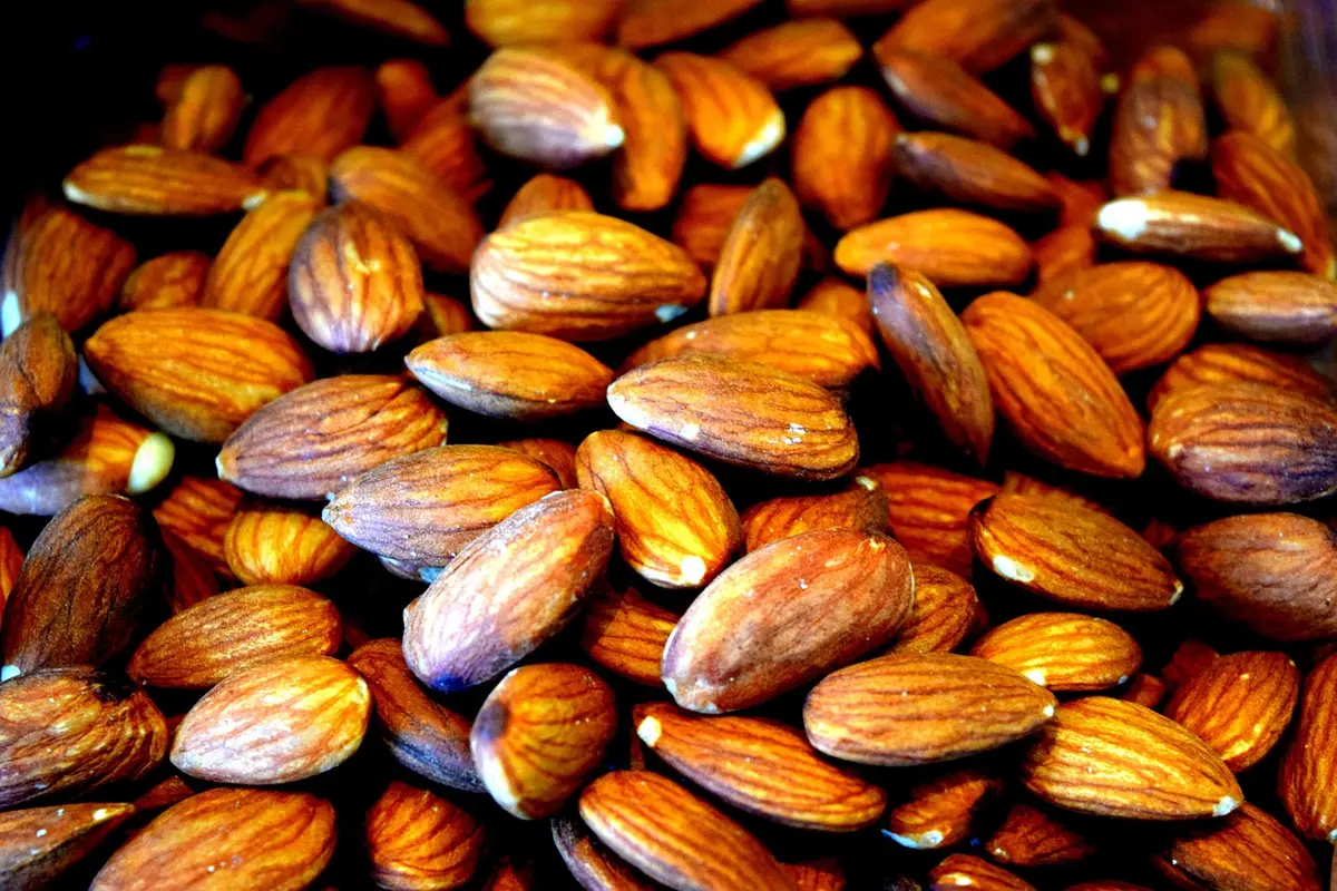 Gros plan d'amandes entières montrant texture et peau
