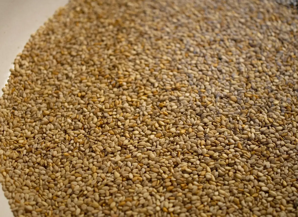 Graines de sésame en train d'être torréfiées dans une poêle sur une cuisinière