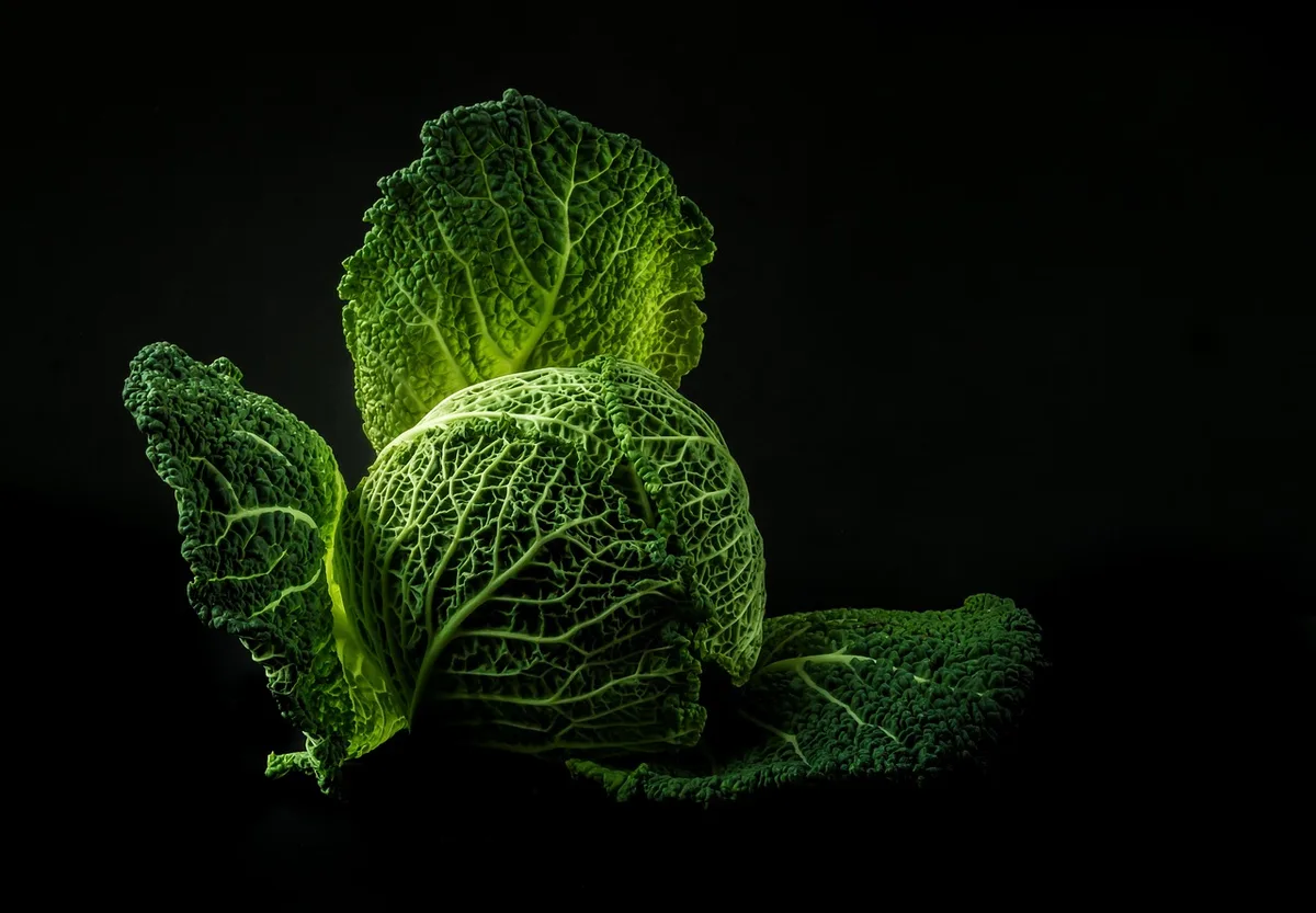 Assortiment d'aliments riches en fibres : légumes, fruits et céréales complètes