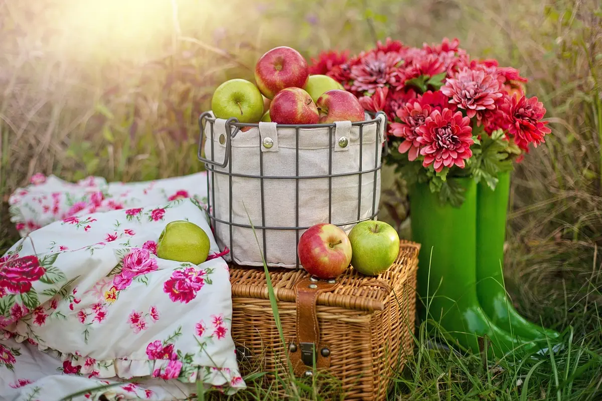 Panier et sacs remplis de légumes et fruits récoltés prêts à être ramenés à la maison