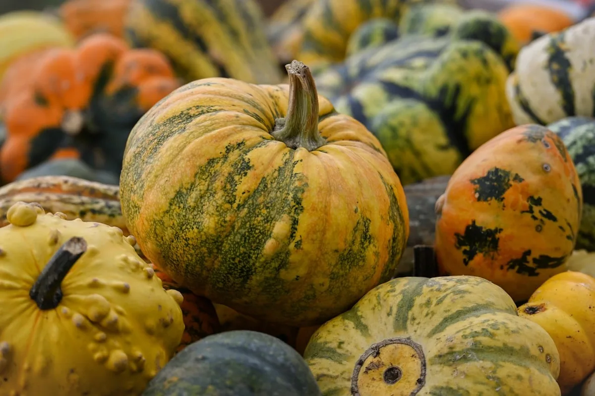 Assortiment de légumes verts autorisés sur une planche à découper