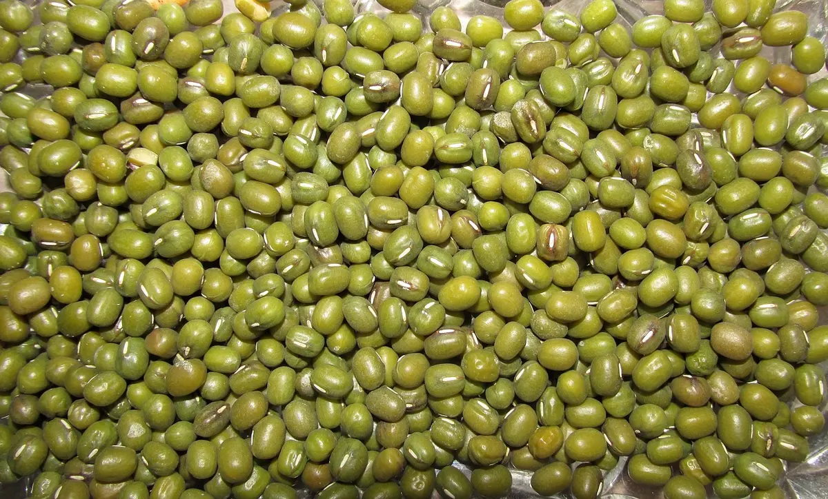 Assiette équilibrée avec céréales, légumineuses et légumes