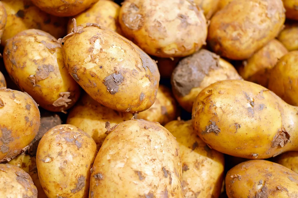 Lecture d'une étiquette nutritionnelle et liste d'ingrédients sur un emballage